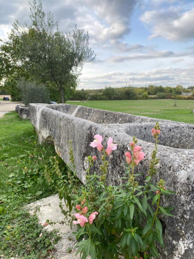 Domaine De La Laigne - Spa Asnieres-la-Giraud Экстерьер фото